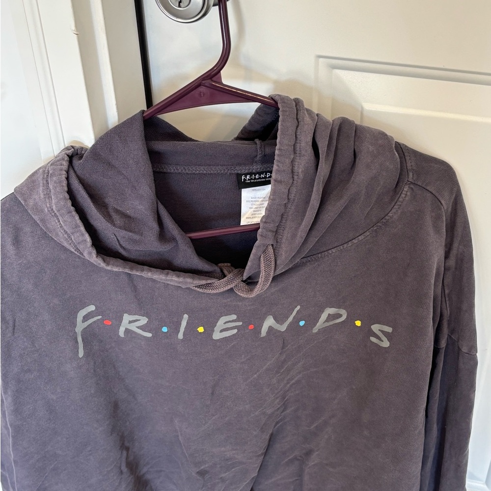 Gray Friends Hoodie